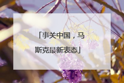 事关中国，马斯克最新表态